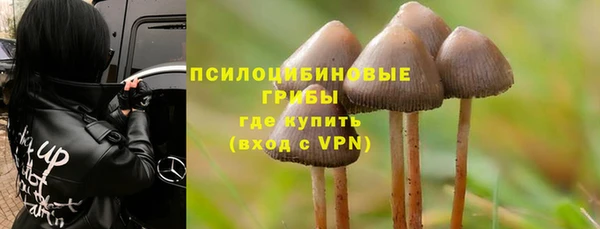 крисы Алексеевка