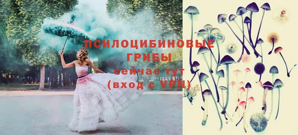 крисы Алексеевка