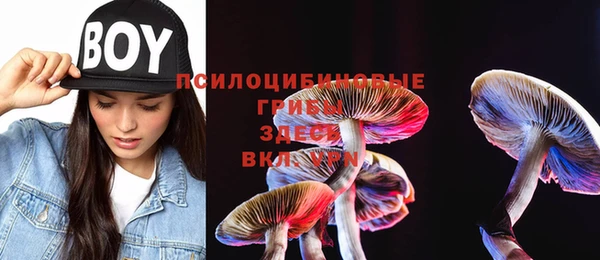 крисы Алексеевка