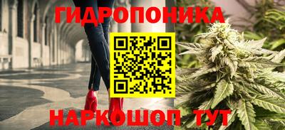 прущие крисы Вязьма