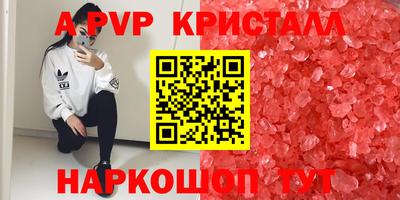 ECSTASY Владивосток