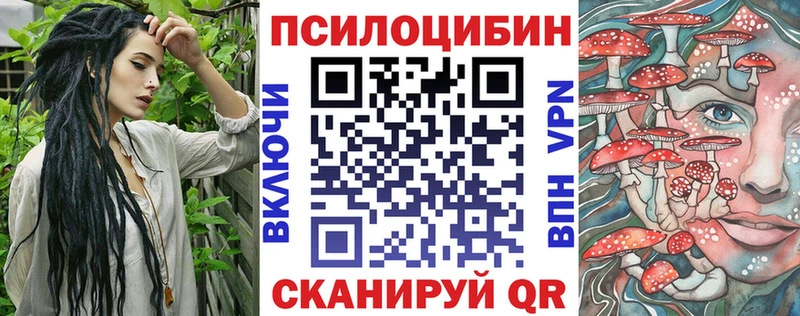 Псилоцибиновые грибы MAGIC MUSHROOMS  где можно купить   Белгород 